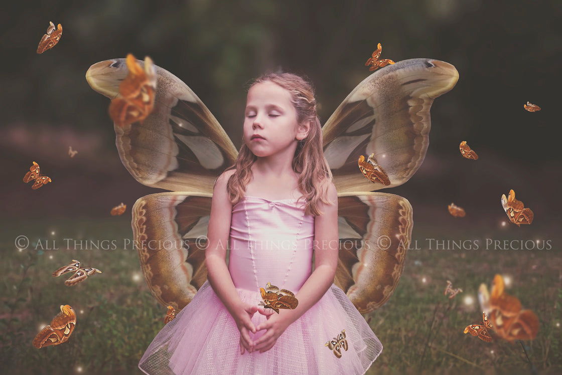 Fairy Wing & Butterfly Overlays For Photographers, Photoshop, Digital art and Creatives. Butterfly fairy wings, Png overlays for photoshop. Photography editing. High resolution, 300dpi. Overlay for photography. Digital stock and resources. Graphic design. Wings for Photos. Colourful Faerie Wings. Butterflies. Overlays for Edits.